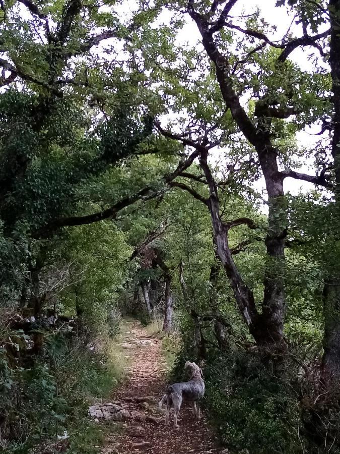 Natura Zome Caylus Exterior foto